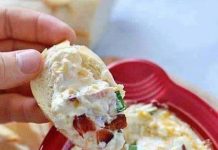 THE BEST DIP IN THE WORLD