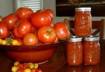 Your Canned tomatoes guide