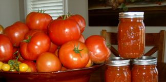 Your Canned tomatoes guide