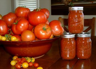 Your Canned tomatoes guide