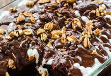 Mississippi Mud Cake