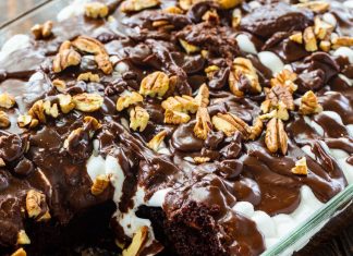 Mississippi Mud Cake