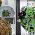 How To Make Your Own Beautiful Hanging Succulent Orb