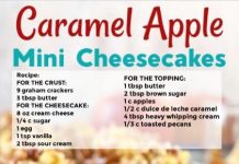 CARAMEL APPLE MINI CHEESECAKES