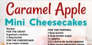 CARAMEL APPLE MINI CHEESECAKES