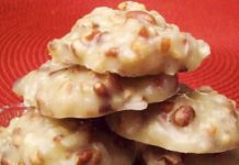 NO BAKE COCONUT PECAN PRALINE COOKIES