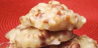 NO BAKE COCONUT PECAN PRALINE COOKIES