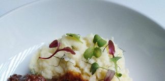 Oxtail served with mash potatoes