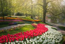 The Most Beautiful Flower Garden In The World Has No Visitors For The First Time In 71 Years And I Got To Capture It (31 Pics)