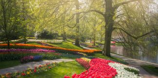 The Most Beautiful Flower Garden In The World Has No Visitors For The First Time In 71 Years And I Got To Capture It (31 Pics)