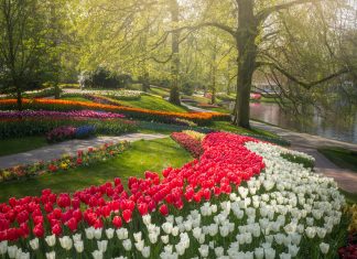 The Most Beautiful Flower Garden In The World Has No Visitors For The First Time In 71 Years And I Got To Capture It (31 Pics)