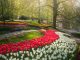 The Most Beautiful Flower Garden In The World Has No Visitors For The First Time In 71 Years And I Got To Capture It (31 Pics)