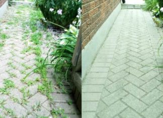 How To Naturally Remove Weeds Growing Between Patio Stones