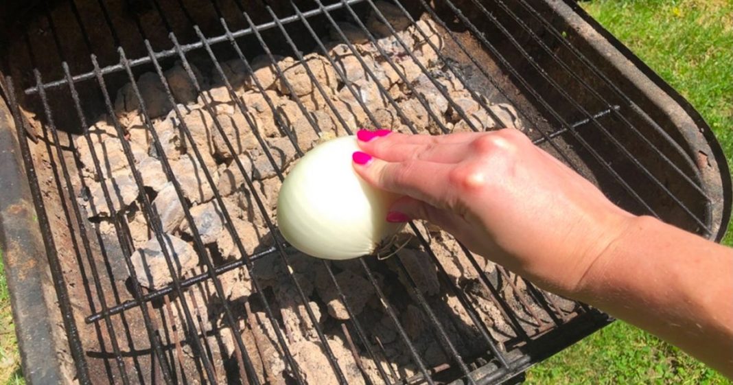 The Benefits Of Cleaning The Grill With An Onion Grandma's Things