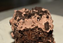 Oreo Dirt Cake