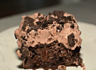 Oreo Dirt Cake