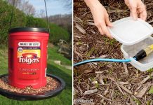 14 Awesome Ways To Reuse Empty Cans, Jars, And Containers