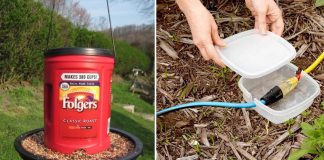 14 Awesome Ways To Reuse Empty Cans, Jars, And Containers