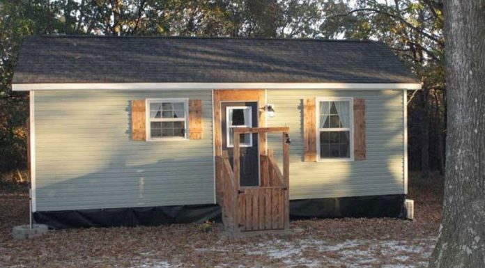 The small house of the mother-daughter duo is a comfortable refuge in the middle of the forest