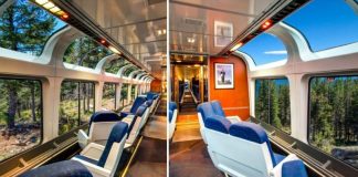 You can take a trip on the “Best Train in America” for only $97
