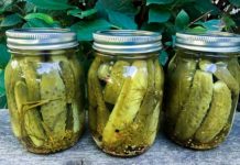 10 Effective Uses For Leftover Pickle Juice