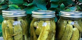 10 Effective Uses For Leftover Pickle Juice