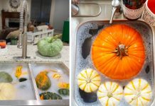 How To Give Pumpkins A Vinegar Bath So That They Last Longer