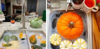 How To Give Pumpkins A Vinegar Bath So That They Last Longer