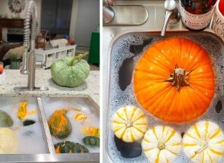How To Give Pumpkins A Vinegar Bath So That They Last Longer