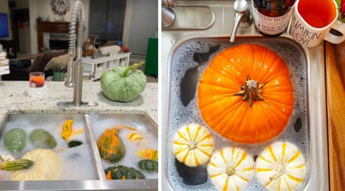 How To Give Pumpkins A Vinegar Bath So That They Last Longer
