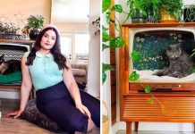 People are turning old televisions into great cat beds…