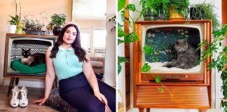 People are turning old televisions into great cat beds…