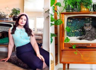 People are turning old televisions into great cat beds…