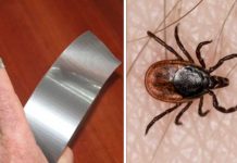 4 Random Yet Helpful Uses For Duct Tape