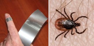 4 Random Yet Helpful Uses For Duct Tape