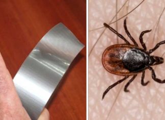 4 Random Yet Helpful Uses For Duct Tape