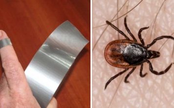 4 Random Yet Helpful Uses For Duct Tape
