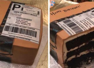 Husband Gifts Wife A Birthday Cake In The Shape Of Her Favorite Thing – An Amazon Prime Parcel
