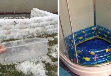 14 People Who Are Taking Parenting To A Whole Other Level