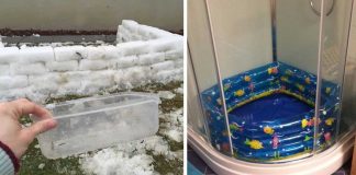 14 People Who Are Taking Parenting To A Whole Other Level