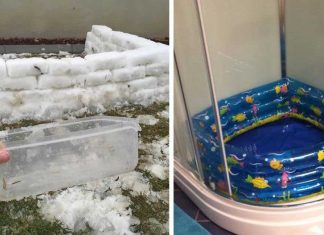 14 People Who Are Taking Parenting To A Whole Other Level