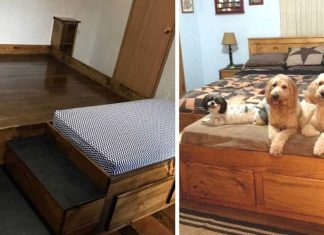 A Furniture Company Is Making Bed Frames With Built-In Dog Beds, And I Need One