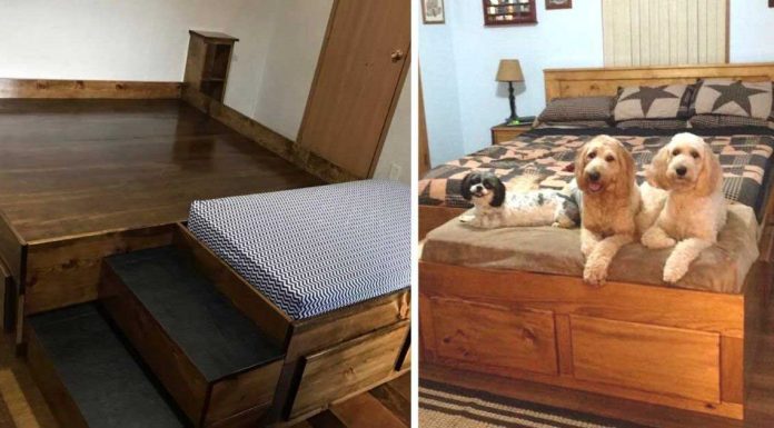 A Furniture Company Is Making Bed Frames With Built-In Dog Beds, And I Need One