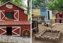 Husband Builds Wife A Miniature ‘Chicken Coop Town’