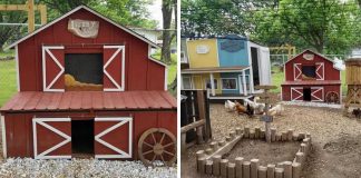 Husband Builds Wife A Miniature ‘Chicken Coop Town’
