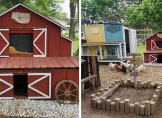 Husband Builds Wife A Miniature ‘Chicken Coop Town’