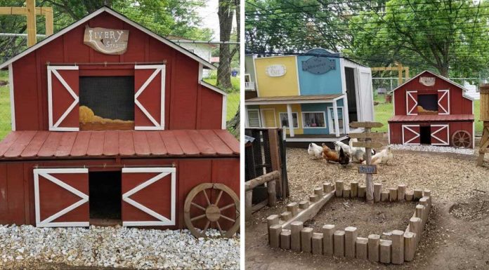 Husband Builds Wife A Miniature ‘Chicken Coop Town’