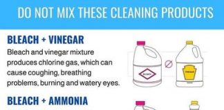 4 Cleaning Product Combinations To Avoid Entirely