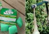 10 Ways To Use Irish Spring Soap That Have Nothing To Do With Lathering Up