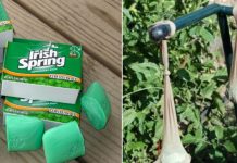 10 Ways To Use Irish Spring Soap That Have Nothing To Do With Lathering Up